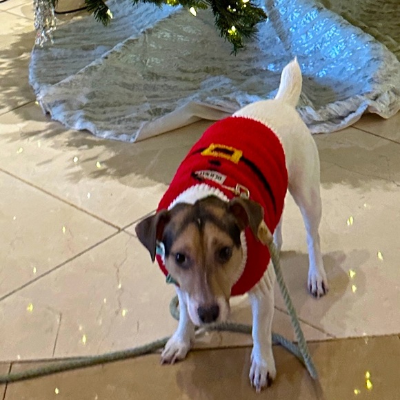 Santa dog sweater sz small fits Jack Russell size dog - Picture 1 of 3